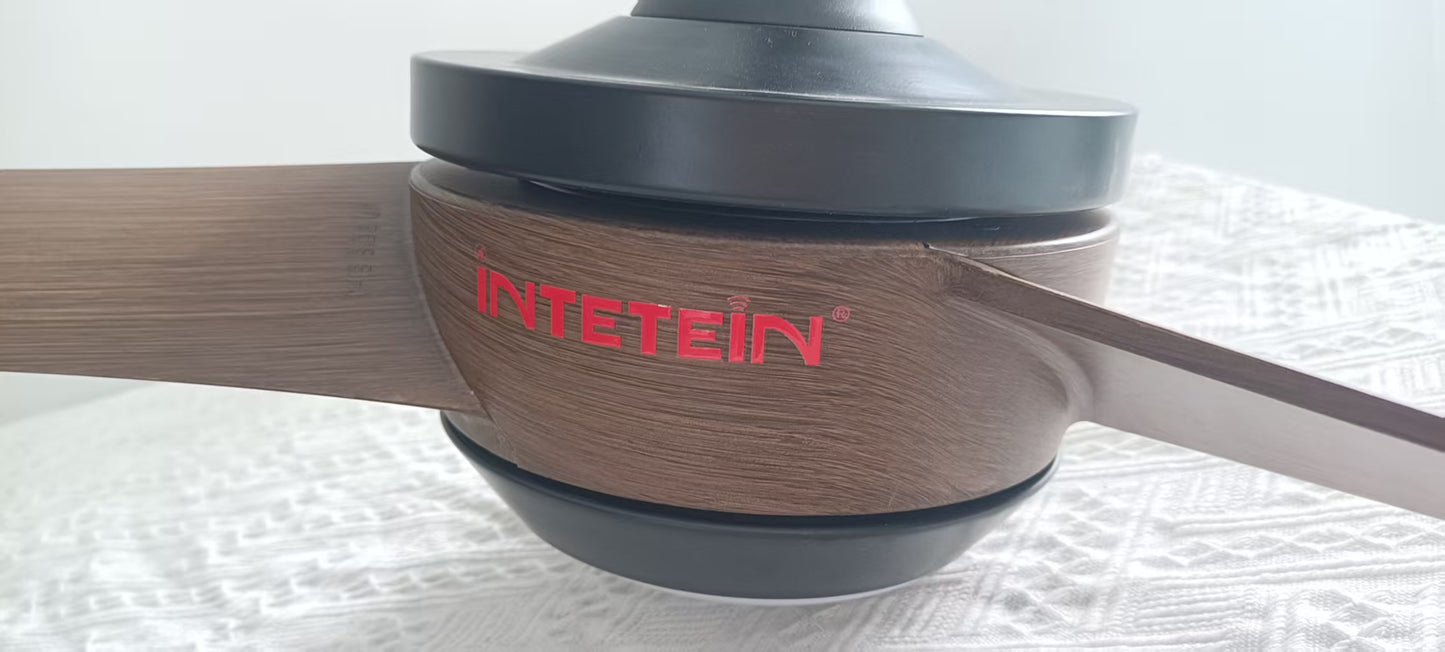 INTETEIN NI 52 inch Ceiling Fan with Lights